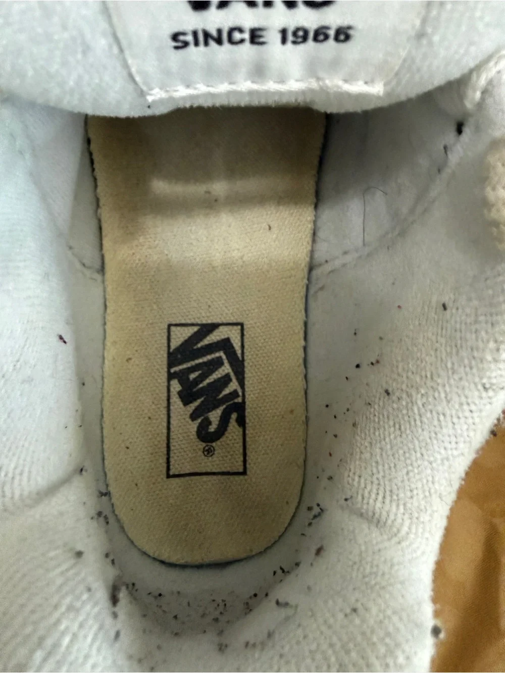 Vans kids skate